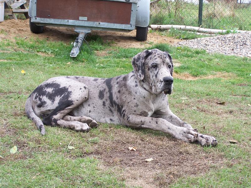 Foto: IGOREK-6 m�s�c�