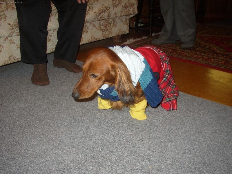 Foto: m�m toho dost!!!