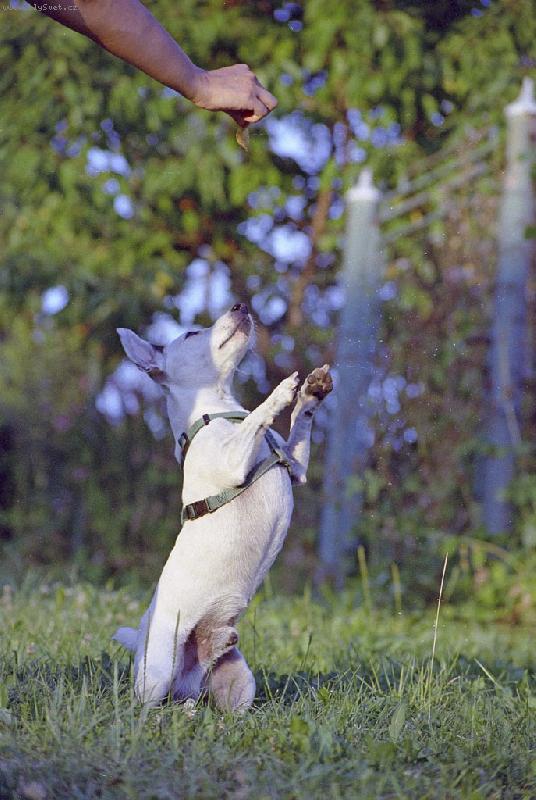 Foto: Dusty-Co bych neud�lal pro �r�dlo......