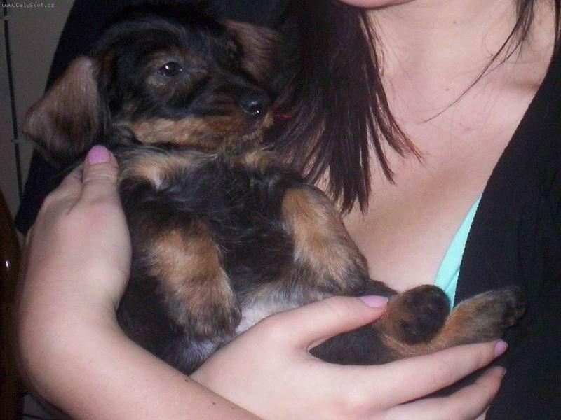 Foto: Nelly-hal� bel�