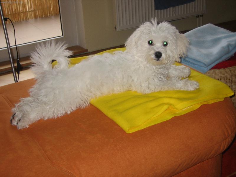 Foto: zlat��ko Keysi