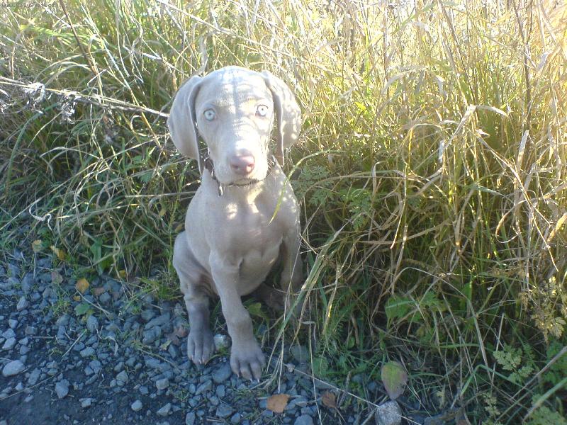 Foto: Arwen v divo�in� ;)