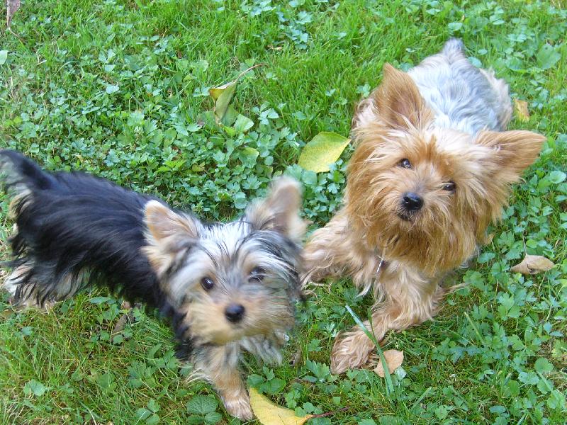 Foto: Peggynka a Ennynka