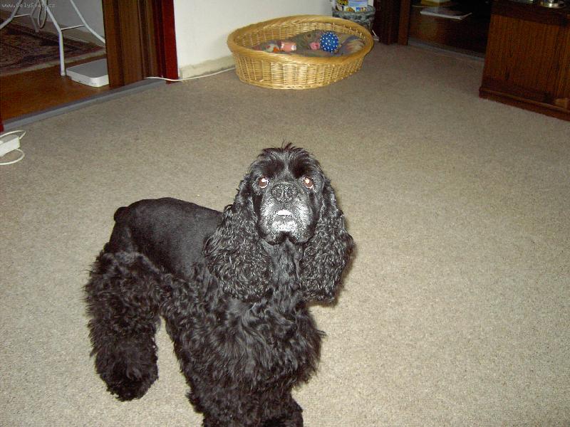 Foto:  Roch�nek-M�j jedin� mil��ek