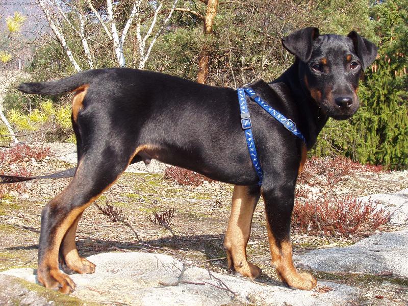 Foto: Malej Argou�ek