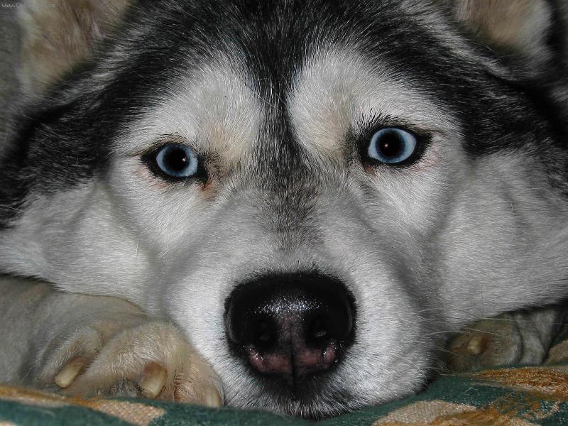 Foto: Fly-Moje zlat��ko