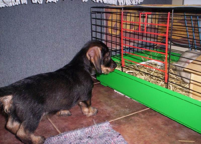 Foto: Nelly-j� a m�j nej k�mo� Johnny