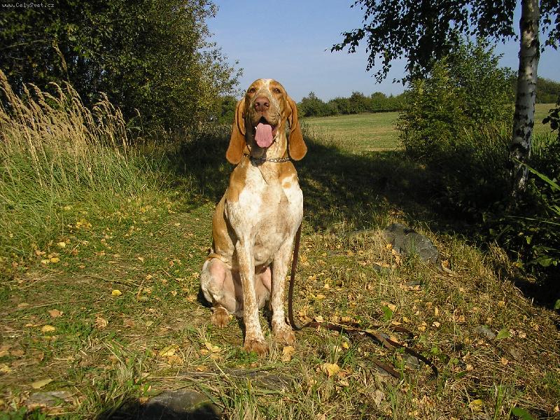 Foto: Claudia od Melmat�je-Claudia od Melmat�je