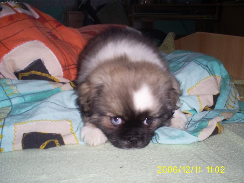 Foto: �te��tko tebe��ka