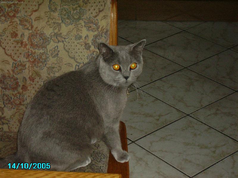 Foto: Ahoj j� jsem Frenkie.