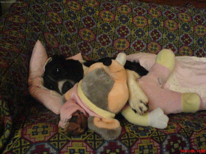 Foto: ��la sp�c�