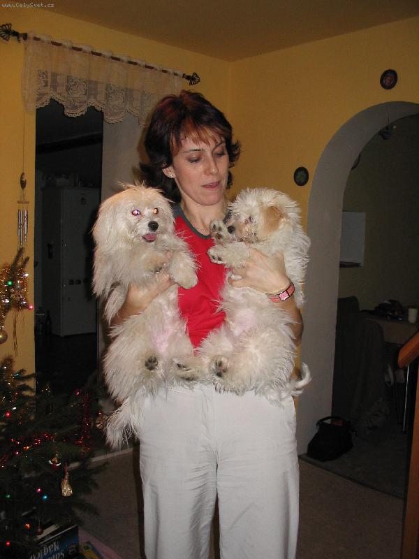 Foto: kluci tak se nemrskejte :-)-KIM a TIM