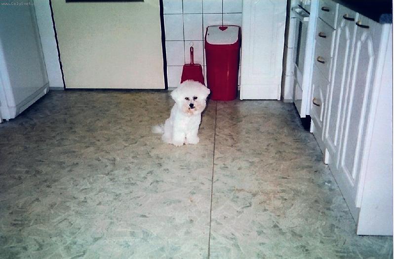 Foto: �EK�N�-Tak si tu tak �ek�m...