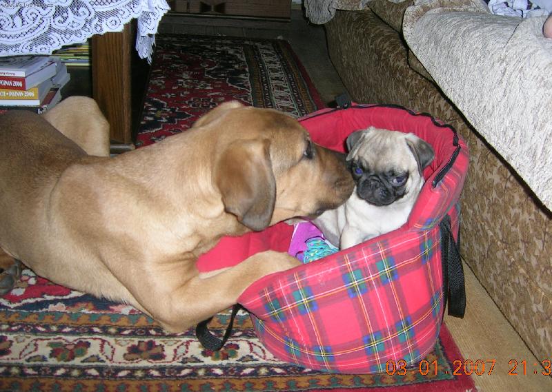 Foto: seznamov�n�-Ch.st. Tosa Centrum