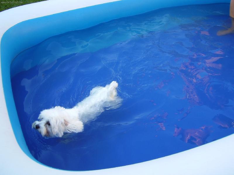 Foto: m�j mal� plavec:-))