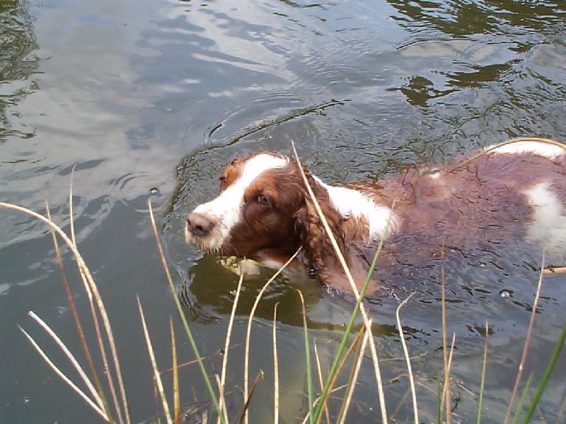 Foto: WSS-ve vod�, jako doma