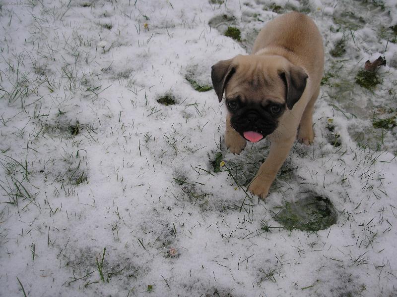 Foto: Prvn� sn�h