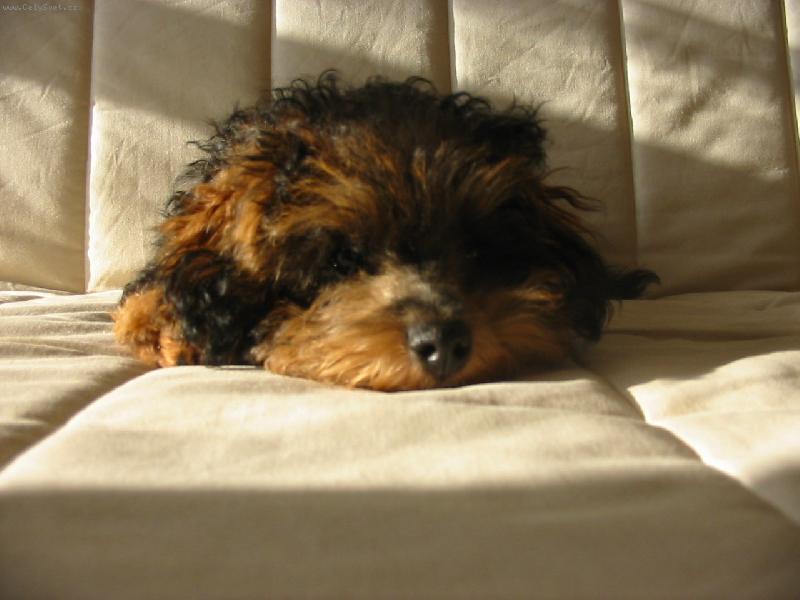 Foto: Relax-5-ti m�s��n� Rony po ob�d�