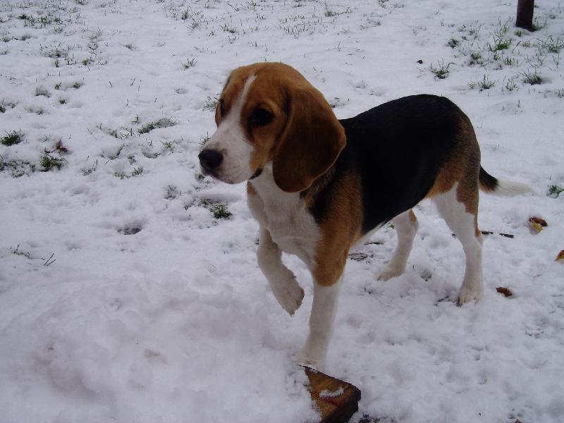 Foto: Bambule-To je ale zima....