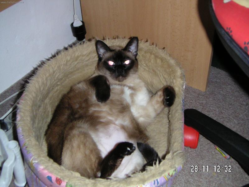 Foto: Na�e M��a