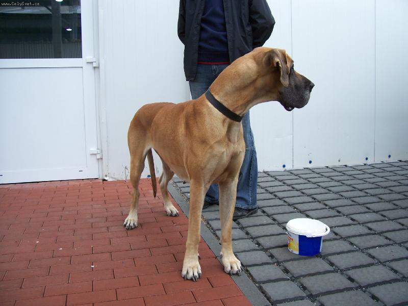 Foto: Ag�ta El-Vixen