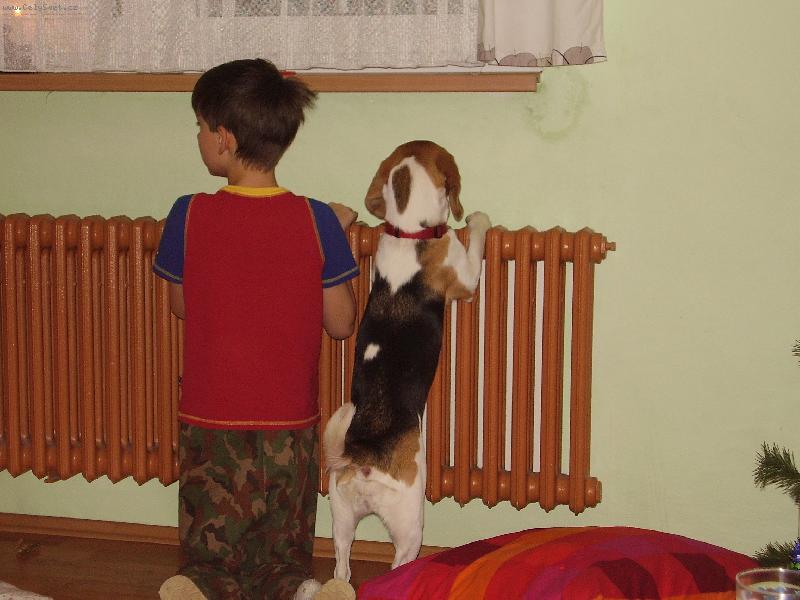 Foto: En-Kouk�me z okna