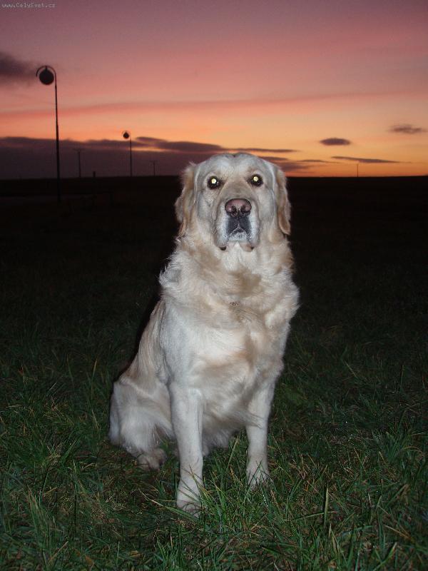 Foto: z�pad slunce