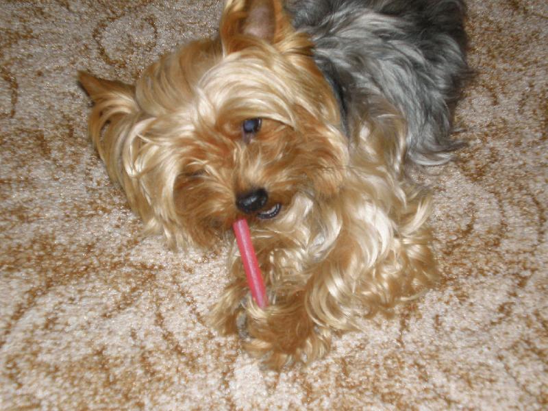 Foto: Samanta-ty�ka