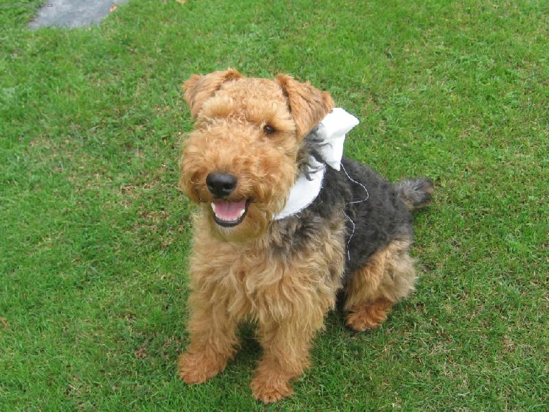 Foto: Bert��ek s ma�l�-jako by se sm�l...