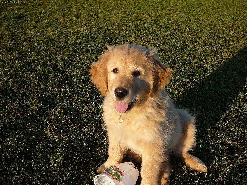 Foto: na�e �t�n�-na h�i�ti