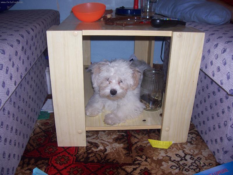 Foto: Time�ek-tady m� nikdo nenajde