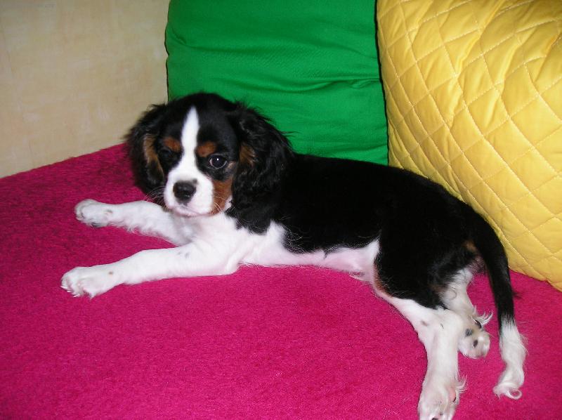 Foto: Lexinek-Na�e zlat��ko!!!