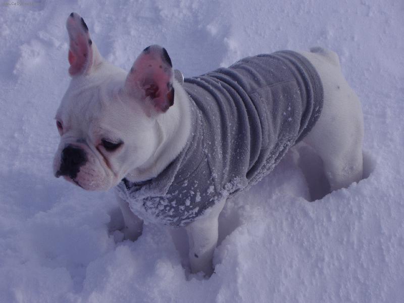 Foto: MIKE-Sn�h je super :-)