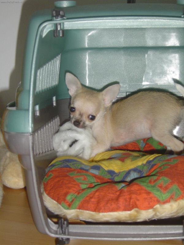 Foto: J� nic nevzala:)