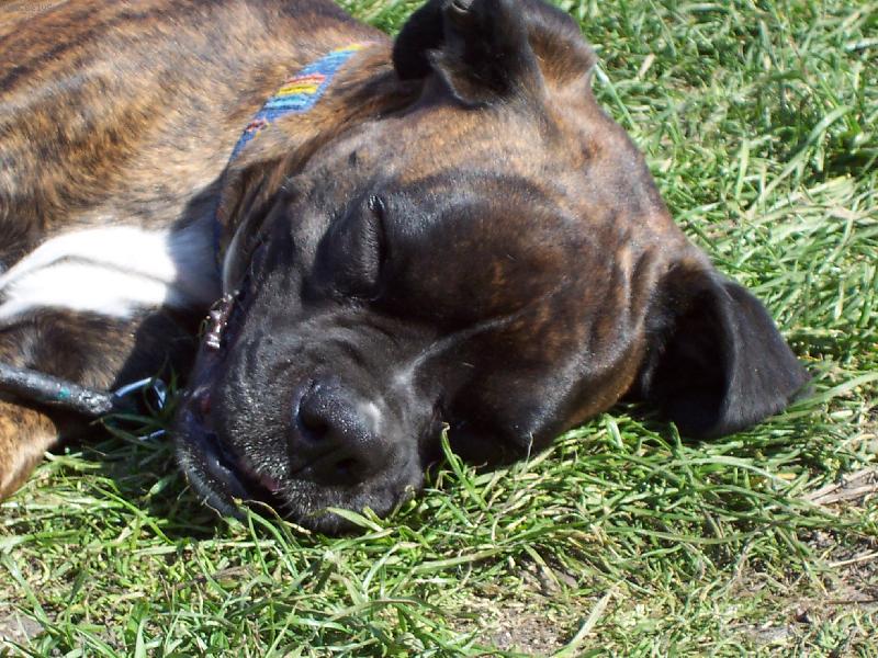 Foto: Baru�ka odpo��v�