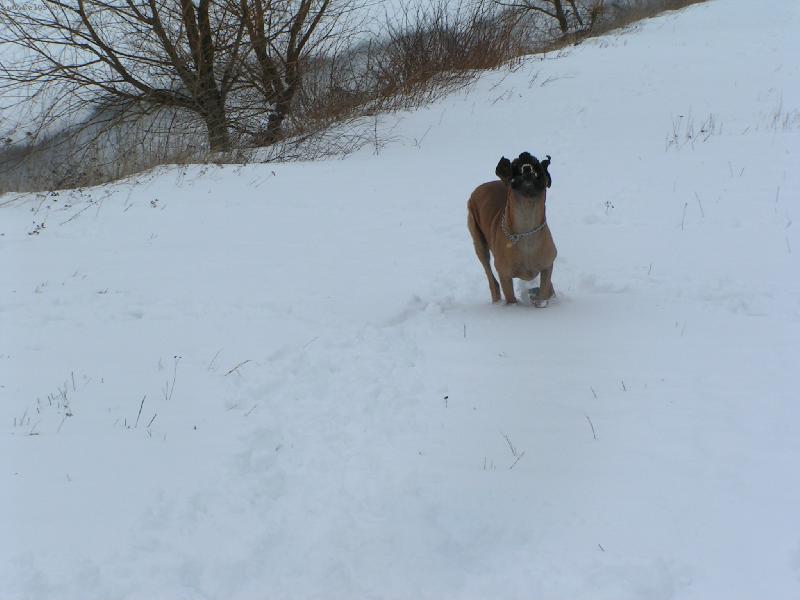 Foto: Dante Rendog-Vysm�t� doga