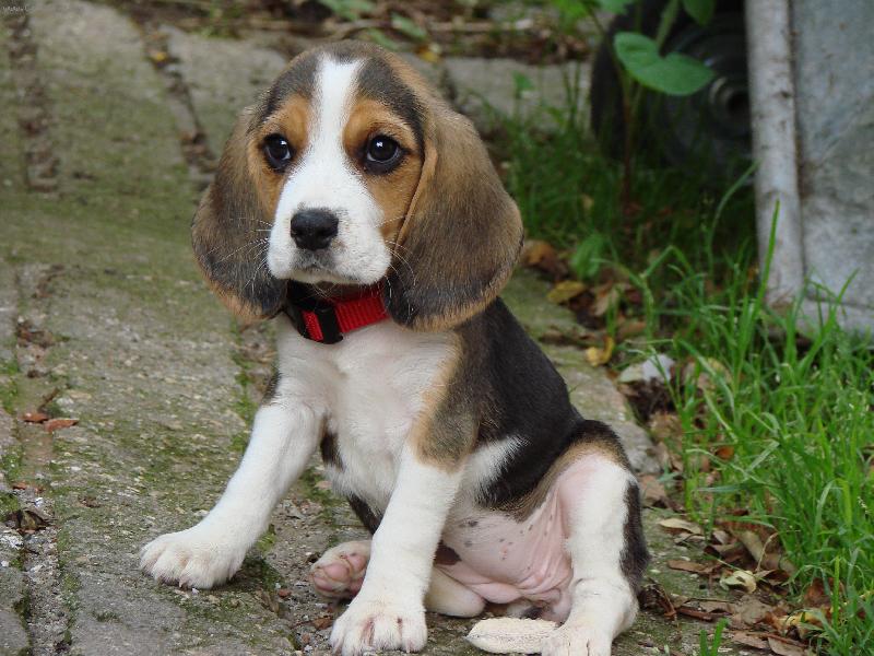 Foto: Bambule-8 t�dn�