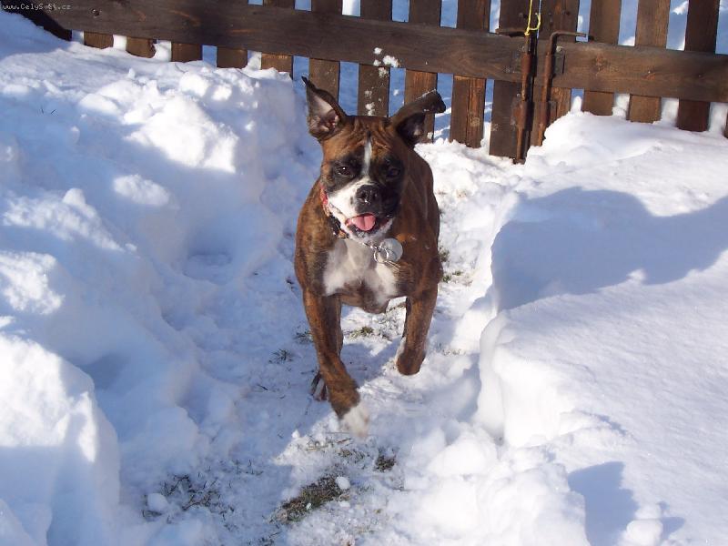 Foto: hur���������