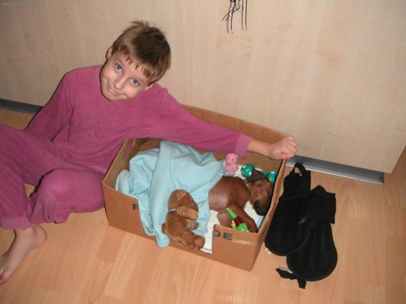 Foto: Sambo-Prvy den v prvom brlozku