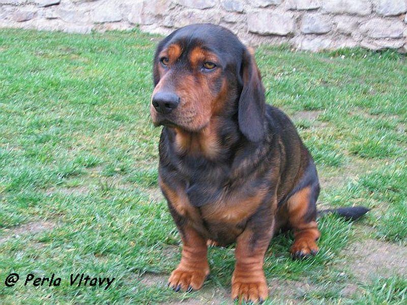 Foto: Mus�m p�zovat