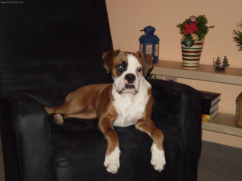 Foto: na�e Baru�ka-na�e Baru�ka