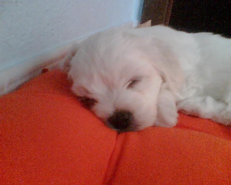 Foto: Kdy� jsem byl miminko-Monty