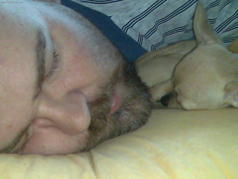 Foto: odpoledni siesta-usnuti odpoledne s panickem