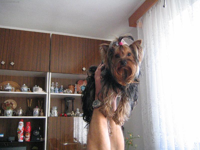 Foto: To jsem vysoko