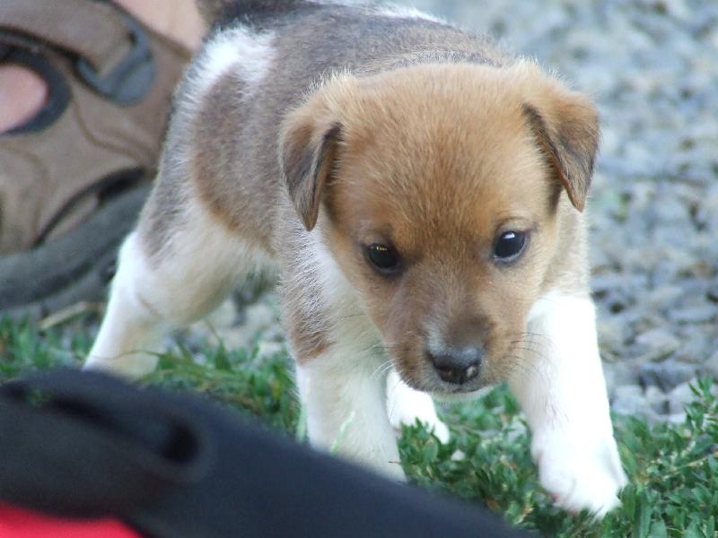 Foto: KUK TO JSEM J�