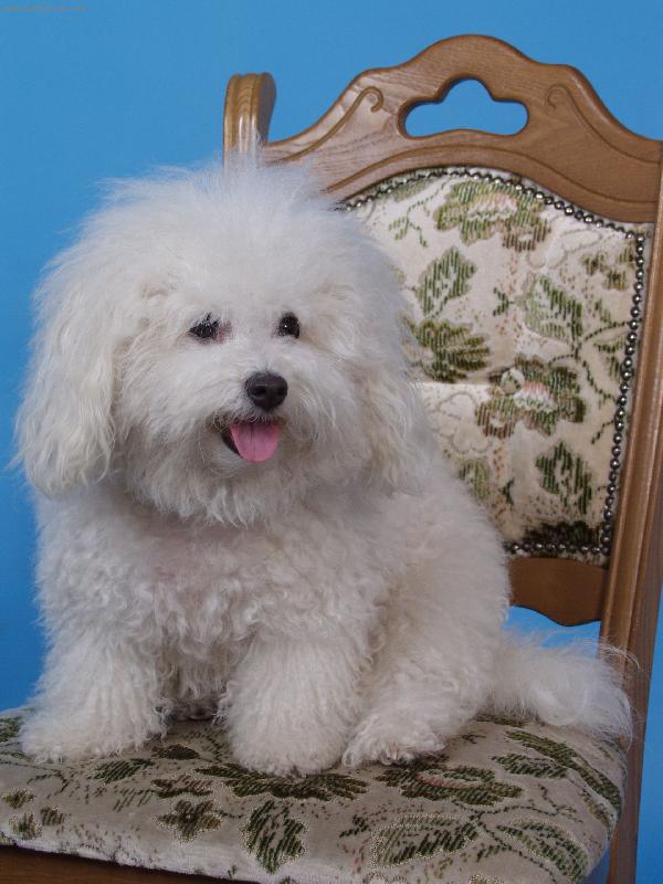 Foto: Jsem v ateli�ru-H�don� Vala�sk� hory