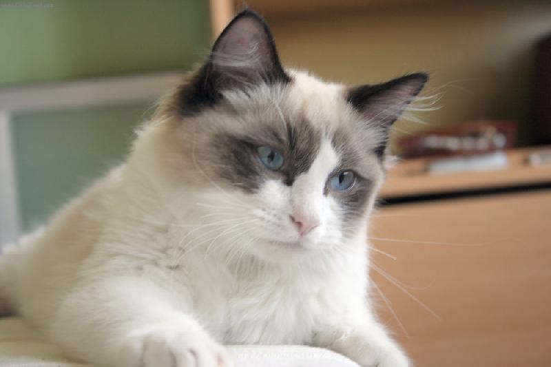 Foto: Ismiri de Borgione-Kukam :-)))