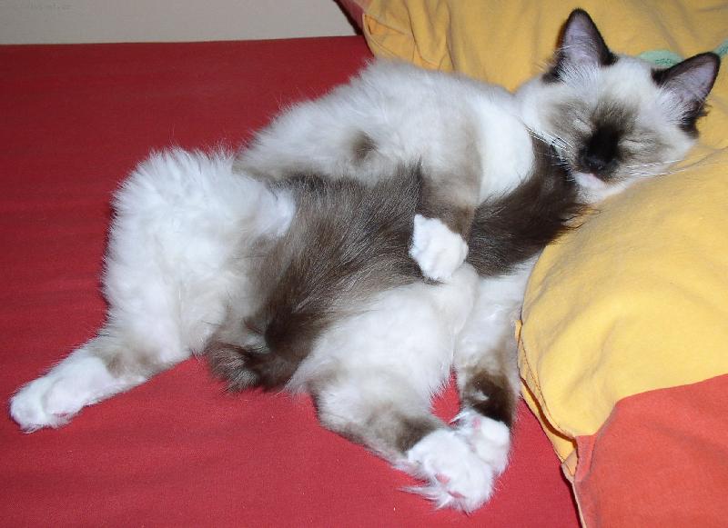 Foto: Grace de Borgione-To je �ivot u otv�ra�� konzerv :-)))