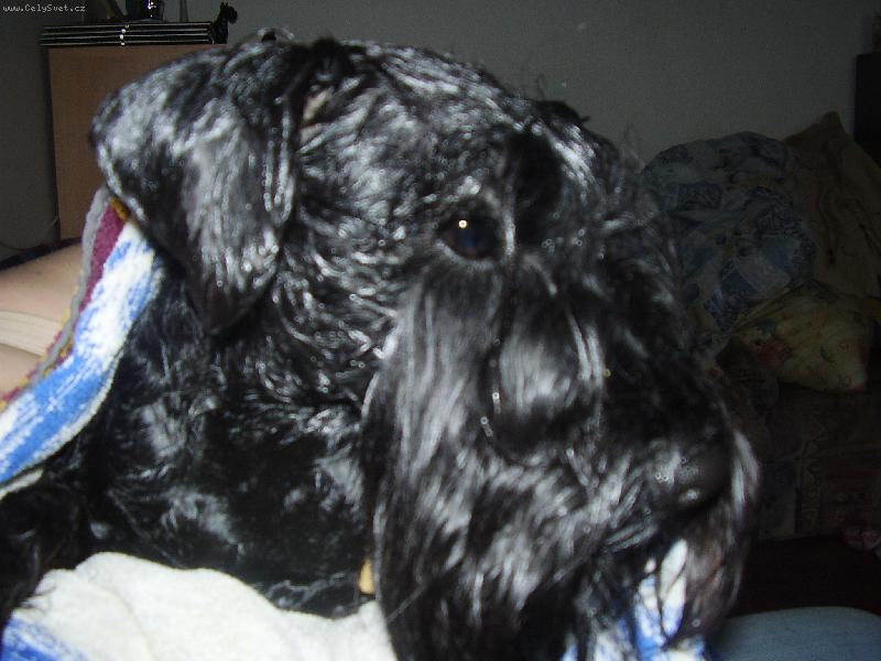 Foto: Quendoline Androis-Kn�ra� z vany vyta�en�...........