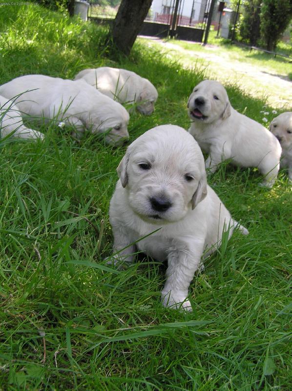 Foto: Arinka-moe arinka je�t� byla mainkaa :o)